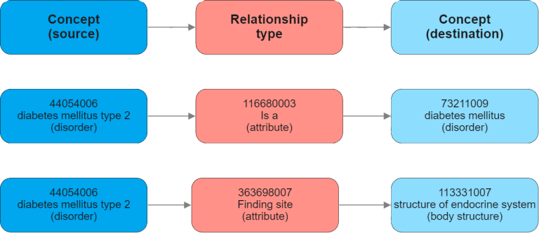 SNOMED CT Relations Example