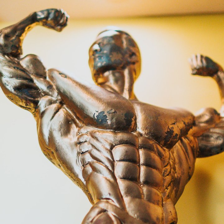 Leader Digital Experience Platform Statue Champion Strength
