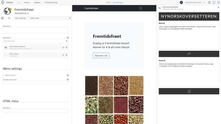 Screenshot of the Nynorsk Translator.