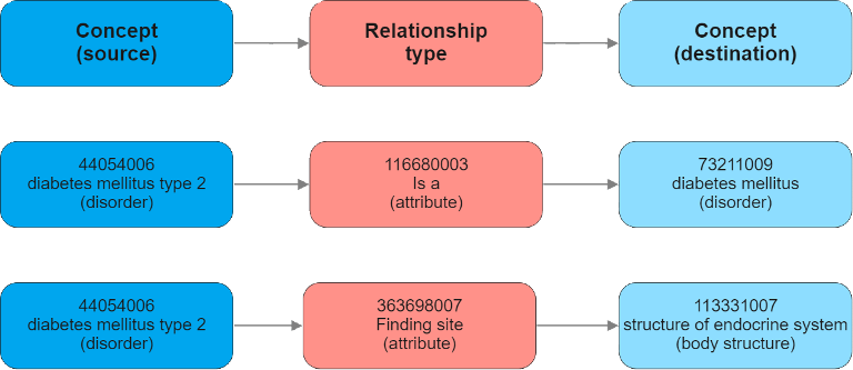 SNOMED CT Relations Example