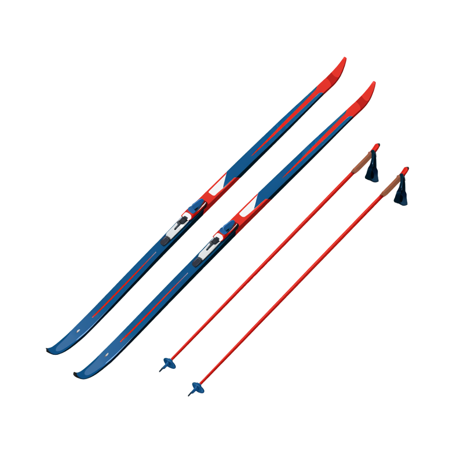 Skis Poles