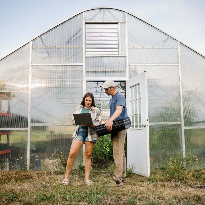 Woman Man Greenhouse Computer