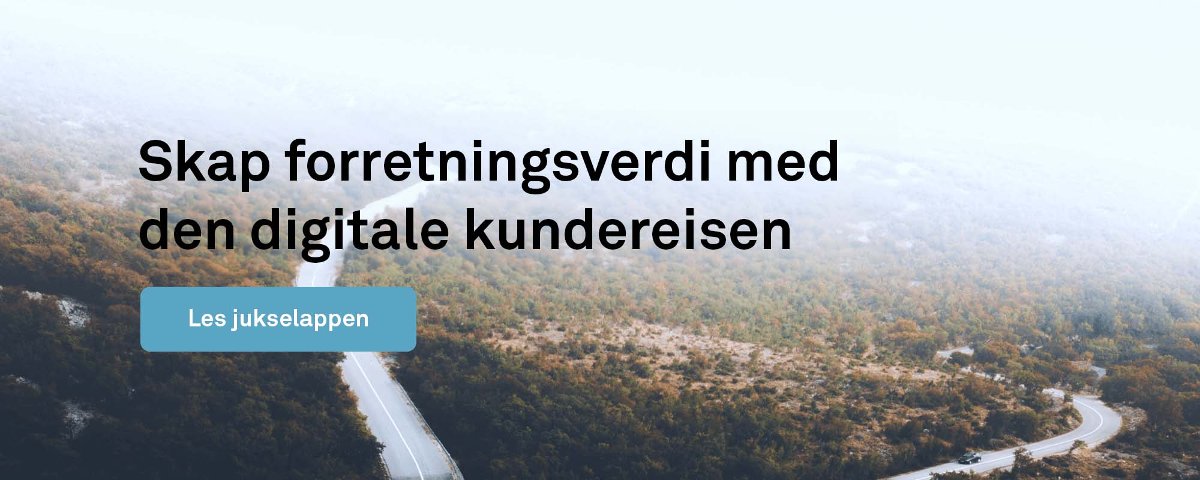 Skap forretningsverdi med den digitale kundereisen