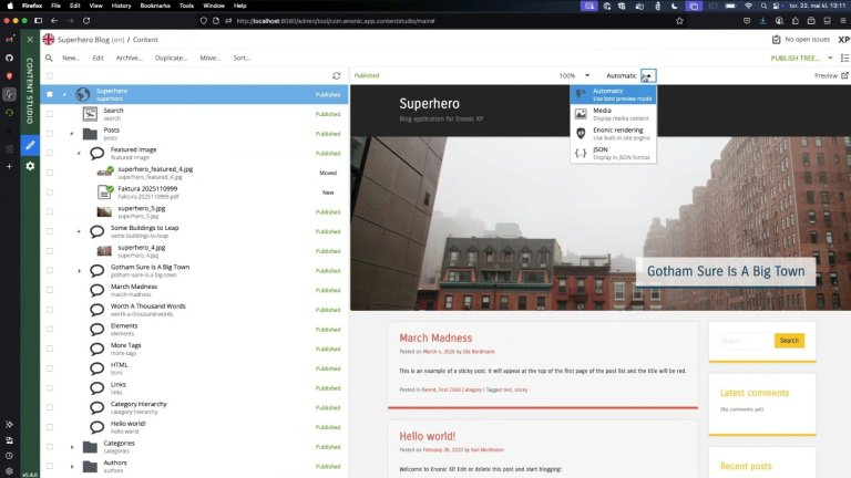 Screenshot of the pluggable preview in Content Studio.