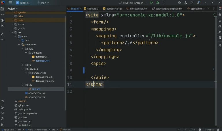 Screenshot of API handling in XP 8.