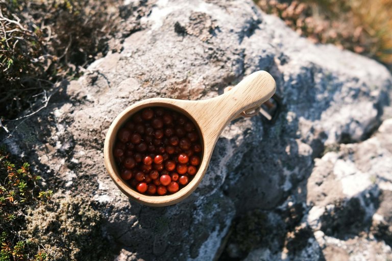 Wooden spoon with berries.