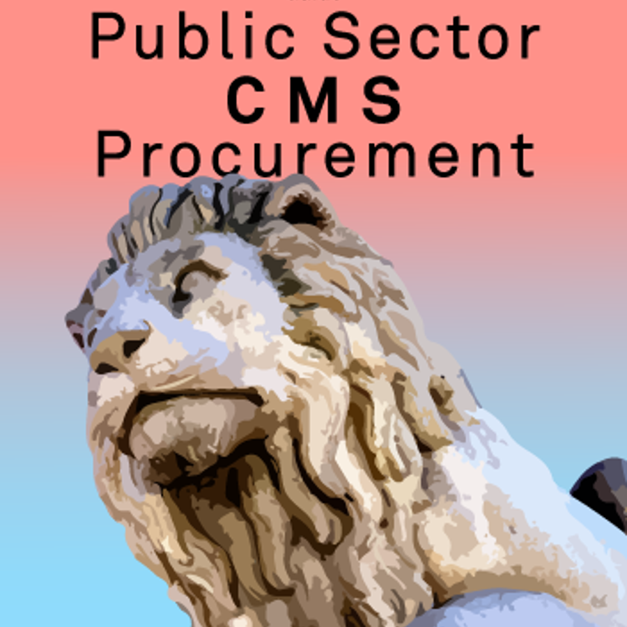 Guide Public Sector CMS Procurement CTA Mobile