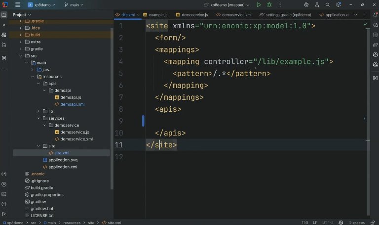 Screenshot of API handling in XP 8.